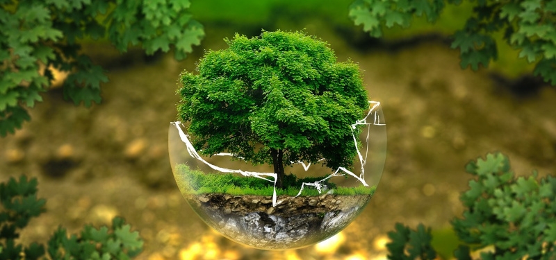 Diaconia Valdese e Servizio Civile Ambientale