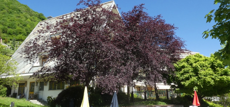 Avvicendamento nella direzione dell'Asilo dei Vecchi di San Germano Chisone