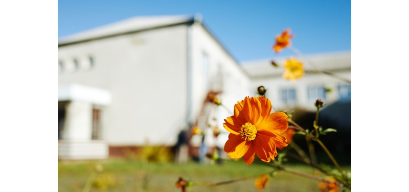 Raccolta fondi per l'organizzazione Living Hope di Odessa