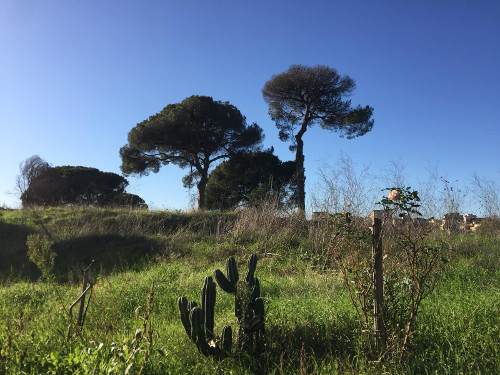 Corridoi Umanitari a Roma: come ripartire con la propria vita