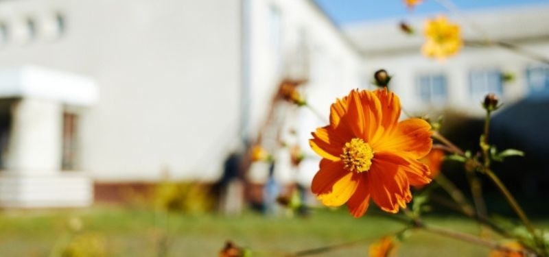 Raccolta fondi Ucraina