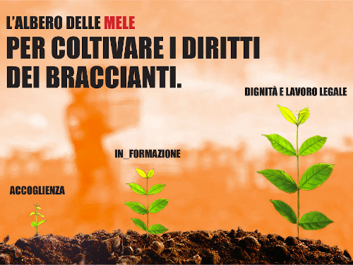 Al via il progetto L'Albero delle mele - per coltivare i diritti dei braccianti