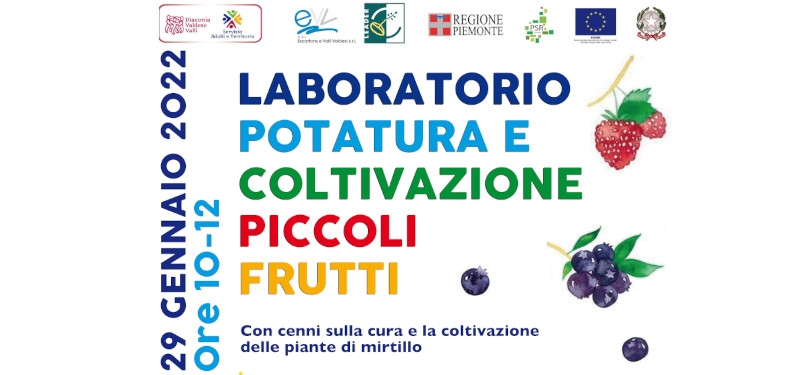 Sabato 29 gennaio ad Angrogna laboratorio potatura e coltivazione piccoli frutti