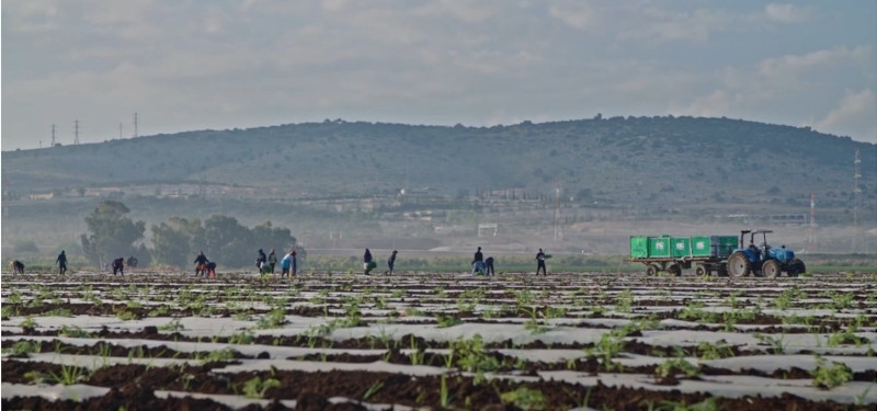 Lavoro: sì al salario minimo, no allo sfruttamento di giovani e migranti